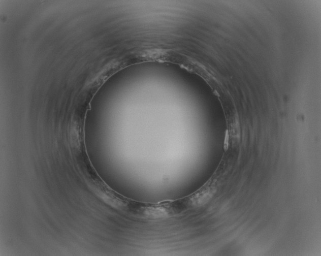 X0000077400572200611032029