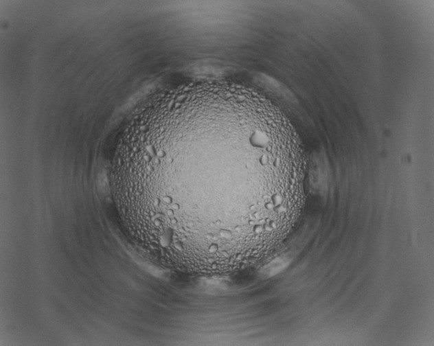 X0000077400573200611032029