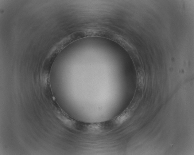 X0000077400574200611032029