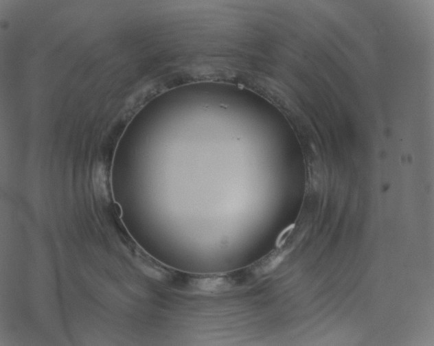 X0000077400575200611032029