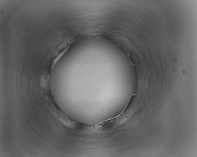 X0000077400576200611032029