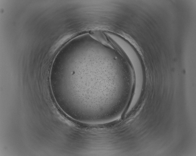 X0000077400577200611032029