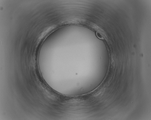 X0000077400578200611032029