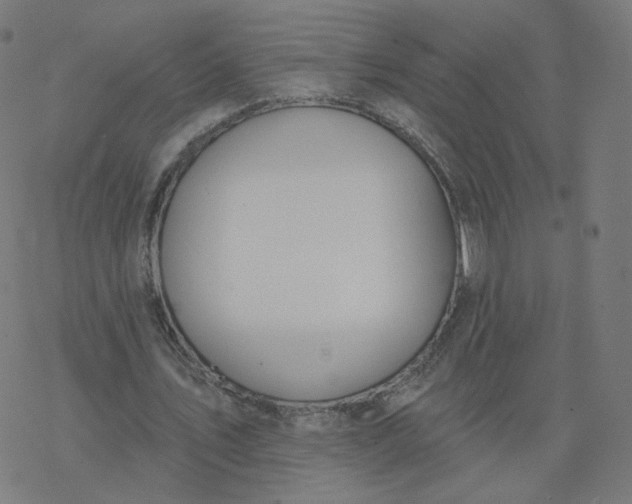 X0000077400579200611032029