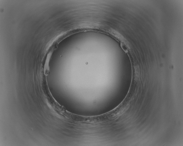 X0000077400580200611032029