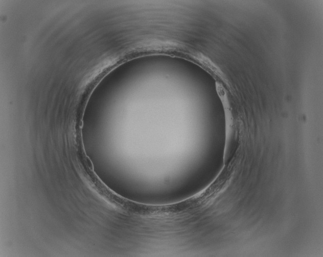 X0000077400581200611032029