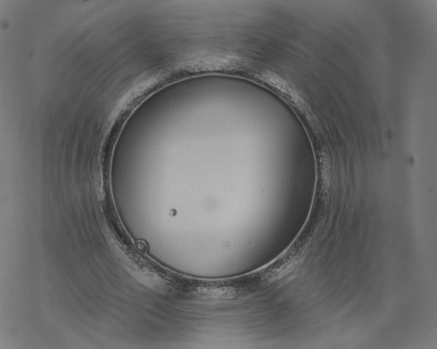 X0000077400582200611032029