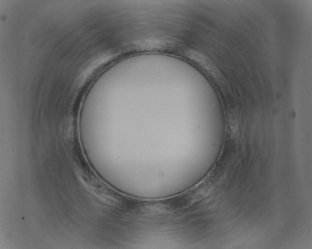 X0000077400583200611032029