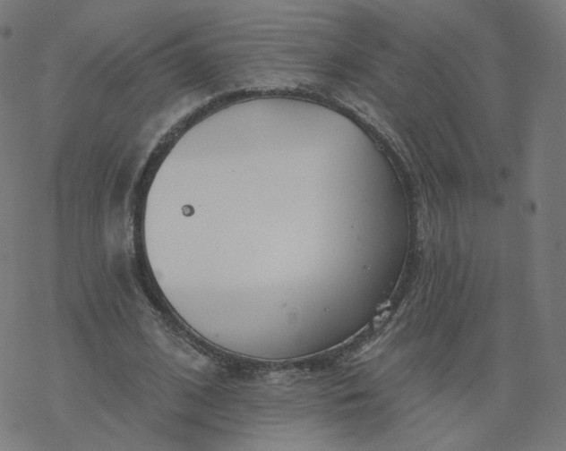 X0000077400584200611032029