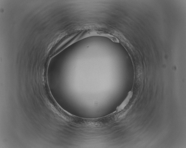 X0000077400585200611032029