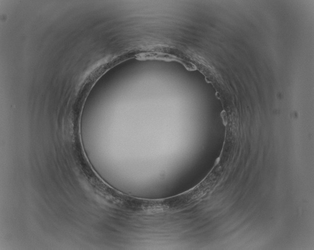 X0000077400587200611032028