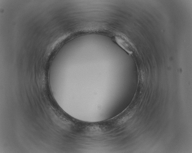 X0000077400588200611032028