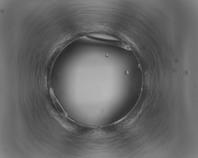 X0000077400589200611032028