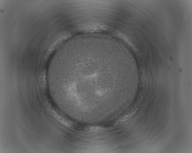 X0000077400590200611032028