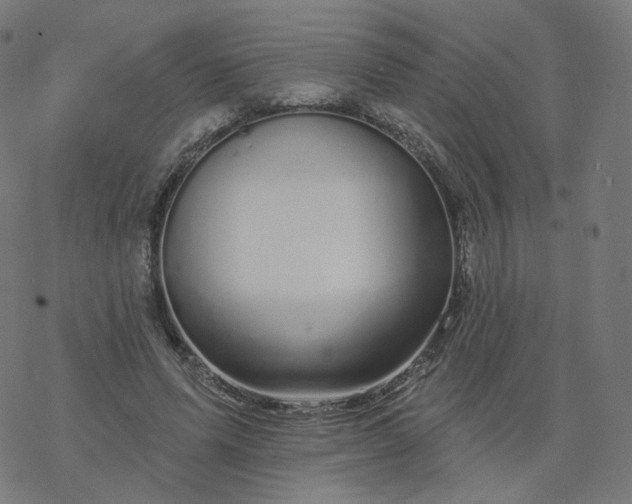 X0000077400591200611032028