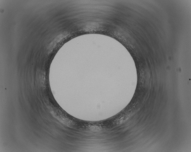 X0000077400592200611032028