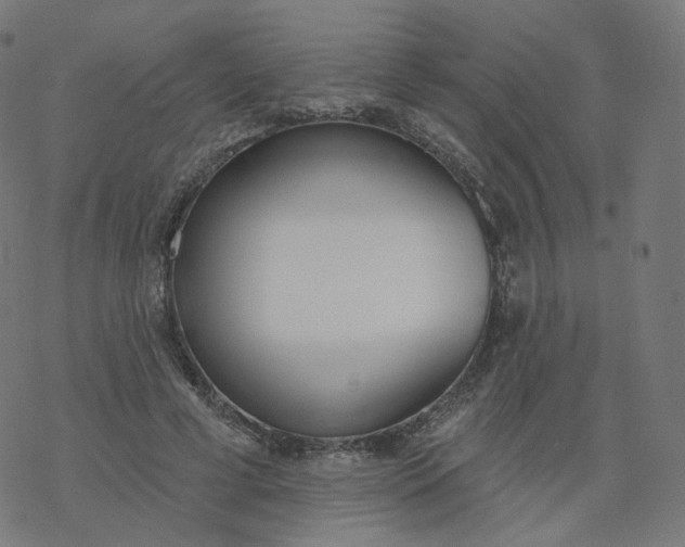 X0000077400593200611032028