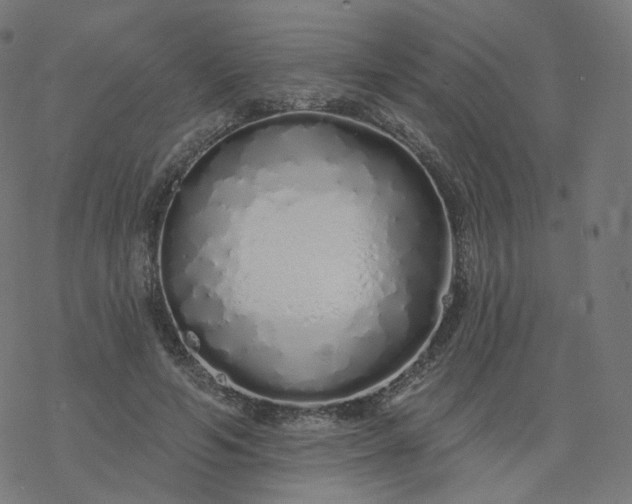 X0000077400594200611032028