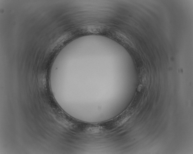 X0000077400595200611032028