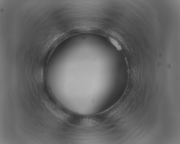 X0000077400596200611032028