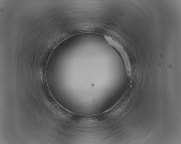 X0000077400597200611032028