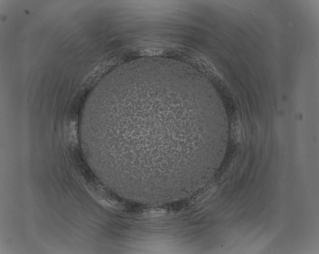 X0000077400598200611032028