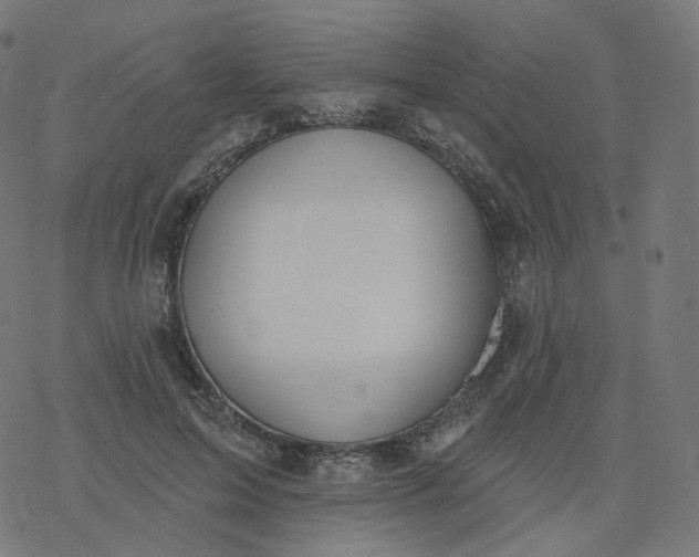 X0000077400599200611032028