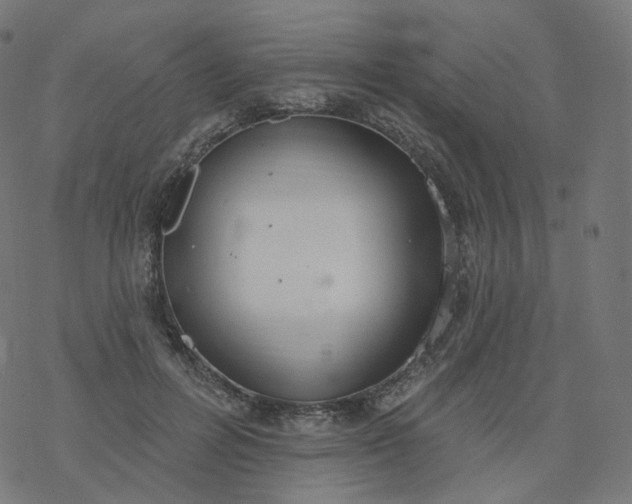 X0000077400600200611032028