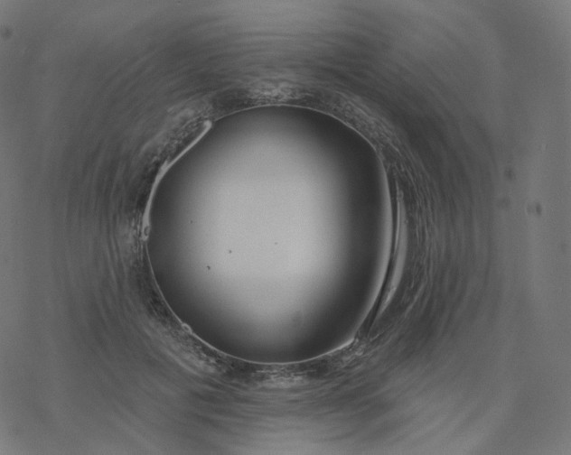 X0000077400601200611032028