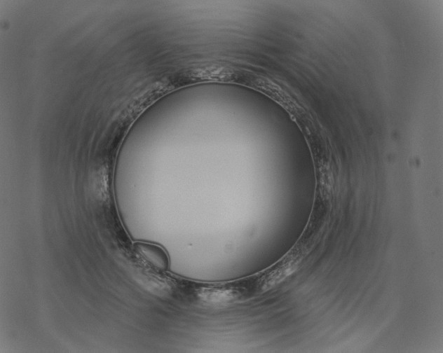 X0000077400602200611032028