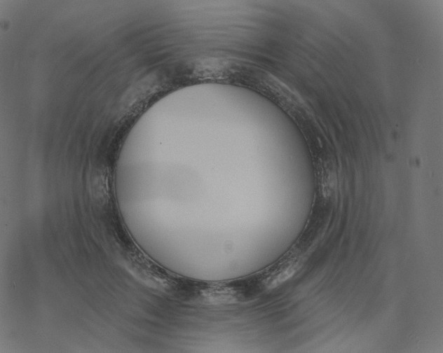 X0000077400603200611032028