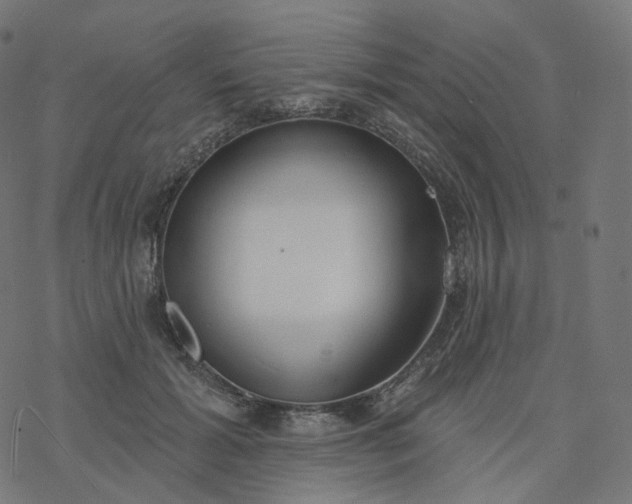 X0000077400605200611032028