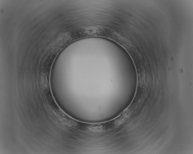 X0000077400606200611032028