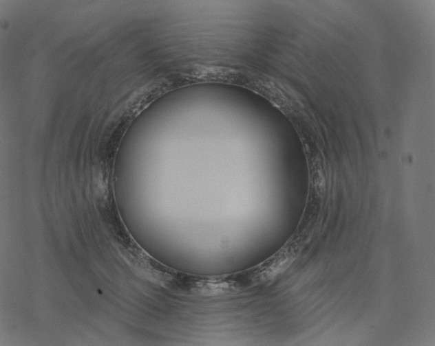 X0000077400607200611032028