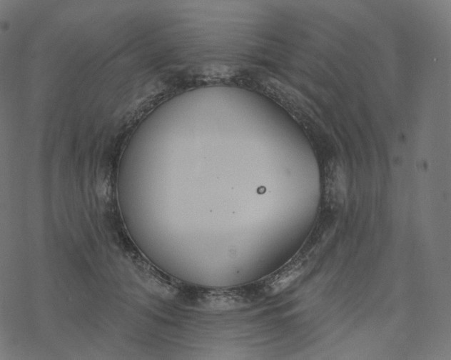 X0000077400608200611032028