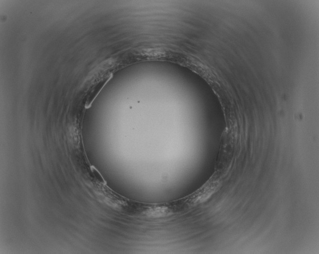 X0000077400609200611032028