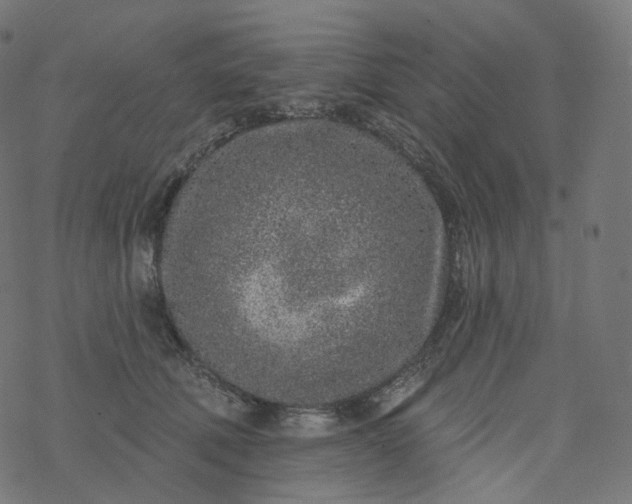 X0000077400610200611032028