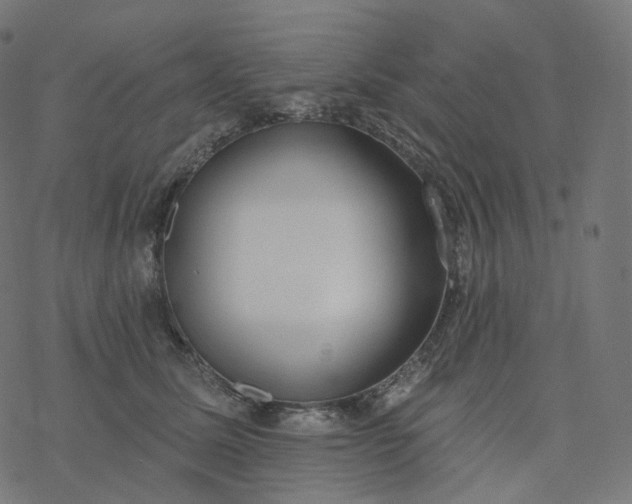 X0000077400611200611032028