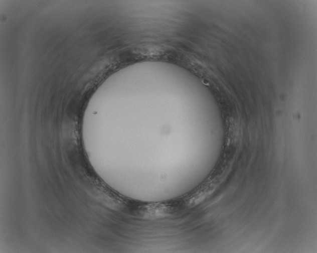 X0000077400612200611032028