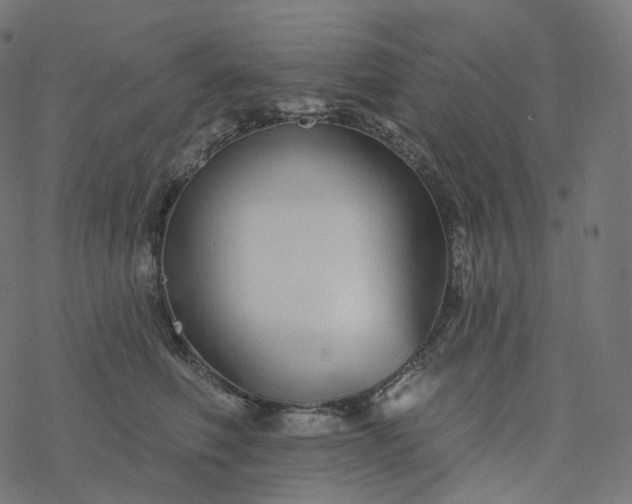 X0000077400614200611032028