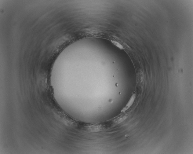 X0000077400615200611032028