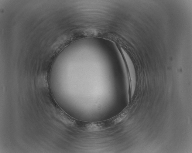 X0000077400616200611032028