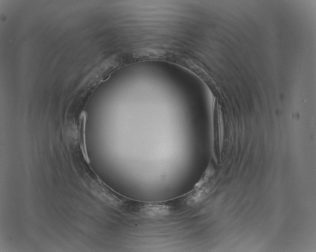 X0000077400617200611032028