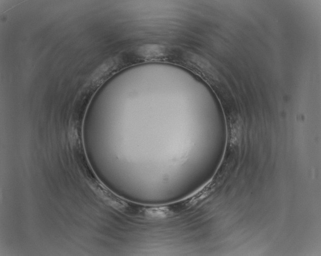 X0000077400618200611032028