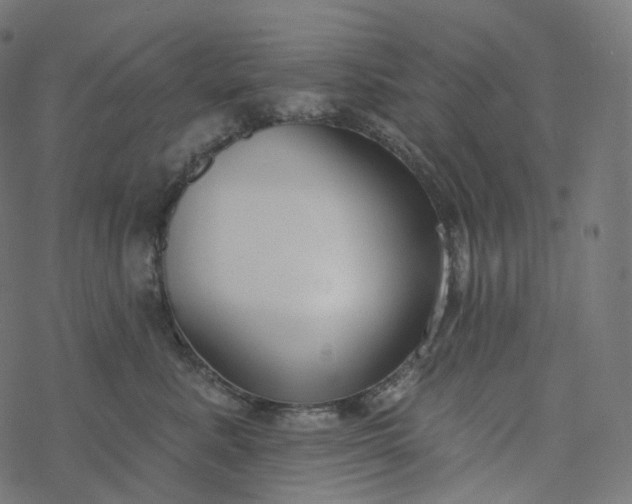 X0000077400619200611032028