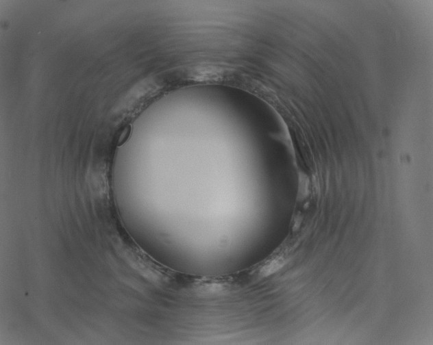 X0000077400620200611032028