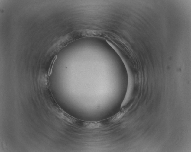 X0000077400621200611032028