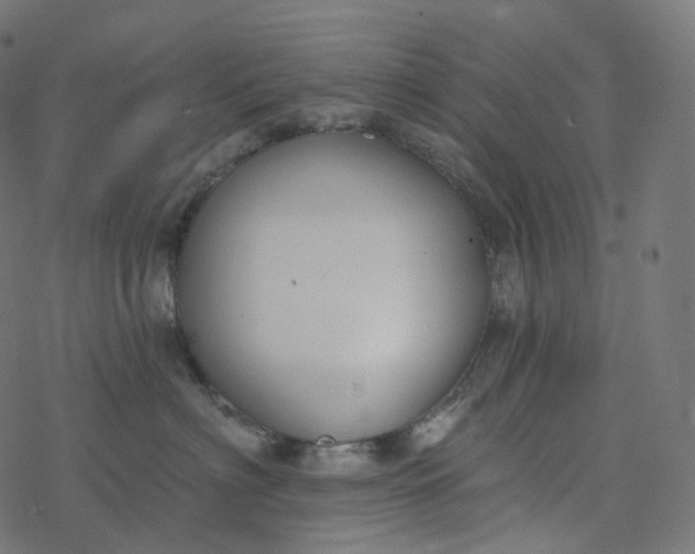 X0000077400622200611032028