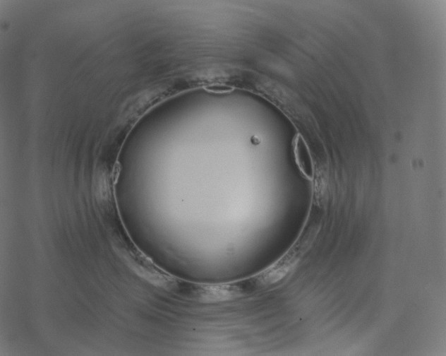 X0000077400623200611032028