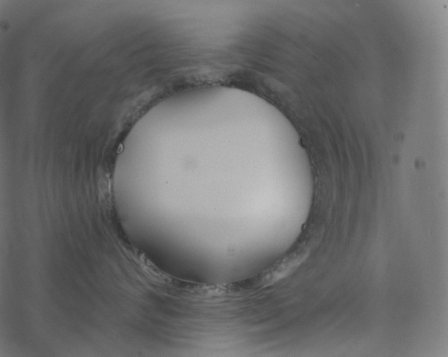 X0000077400624200611032028